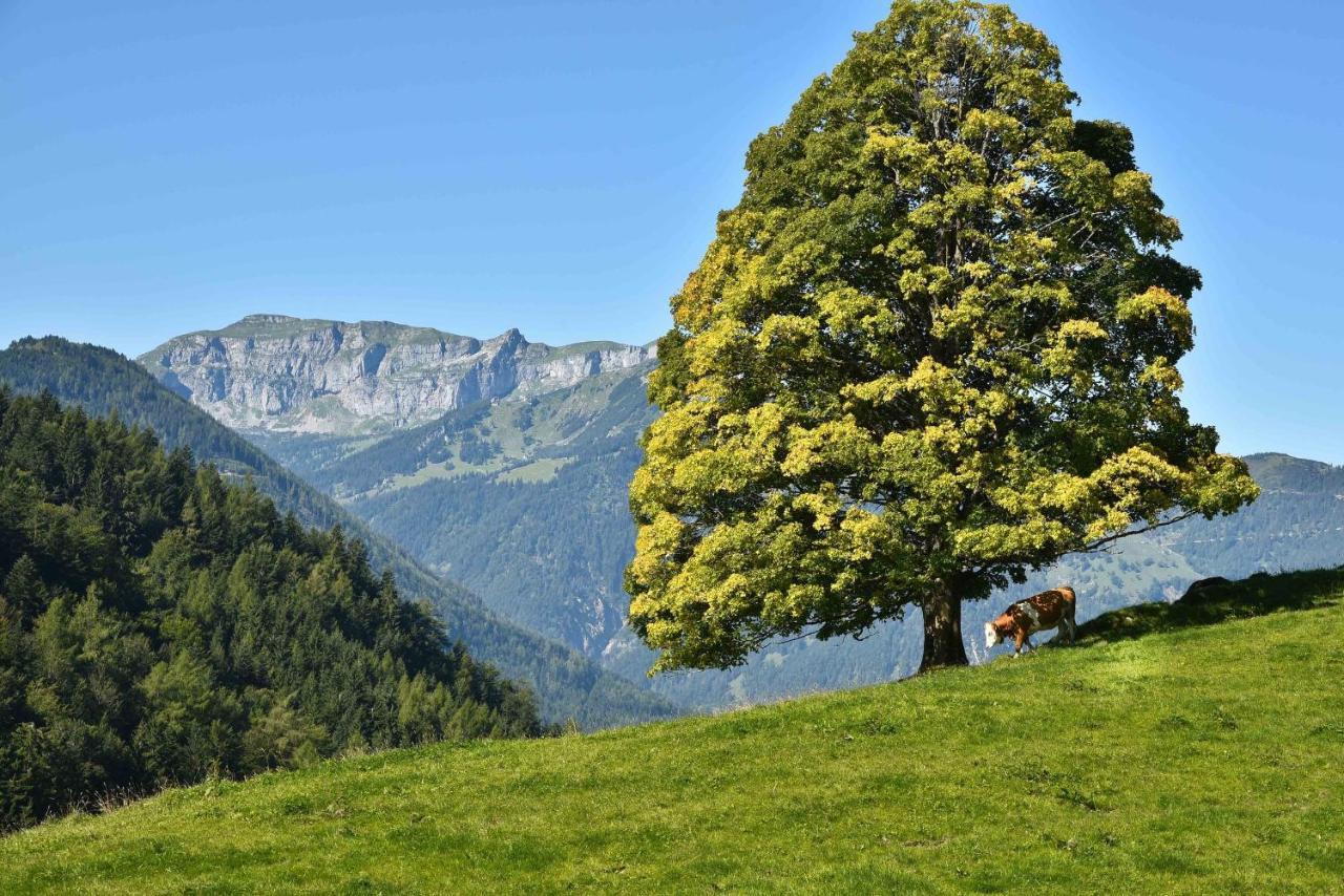 Gwercherwirt Brandenberg エクステリア 写真